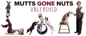 Mutts Gone Nuts - Unleashed