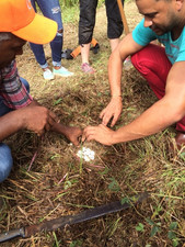 Students digging.