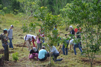 Students planting a tree.